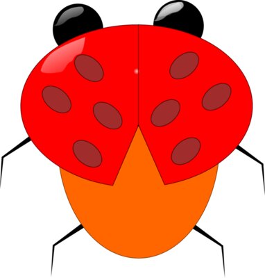 ladybeetle