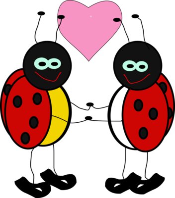 Machovka lady bugs