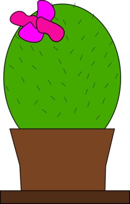 Machovka cactus 1